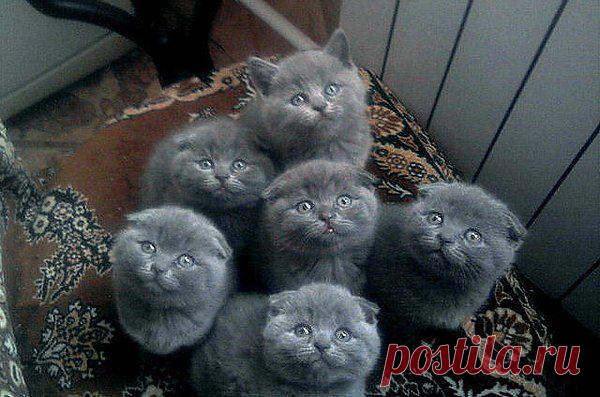 Антидепресанты