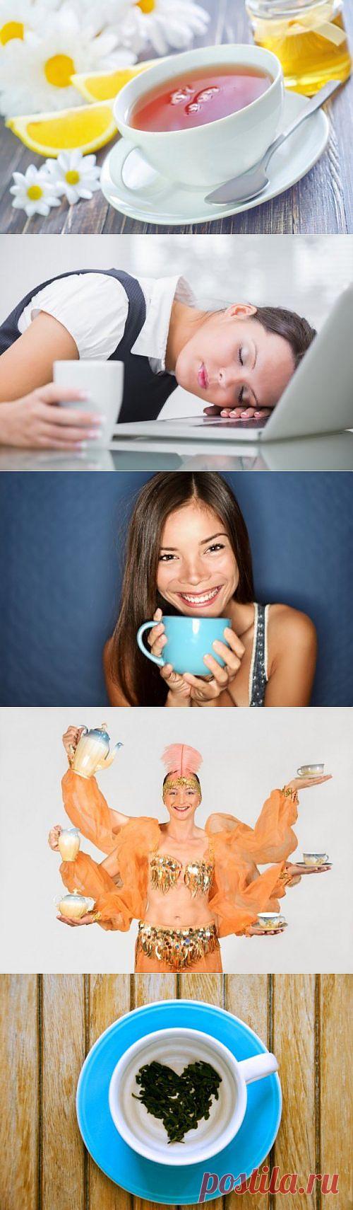 (+1) тема - Топ-10 Увлекательных фактов о чае | Среда обитания