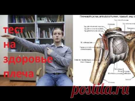 Проведи онлайн тест плеча - узнай, что болит