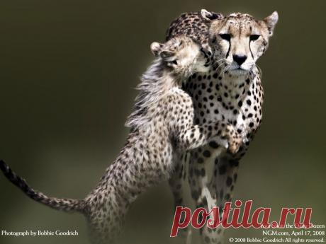 Фотографии на стене сообщества | 19 484 фотографии