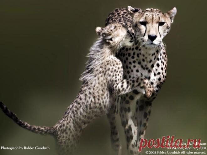 Фотографии на стене сообщества | 19 484 фотографии