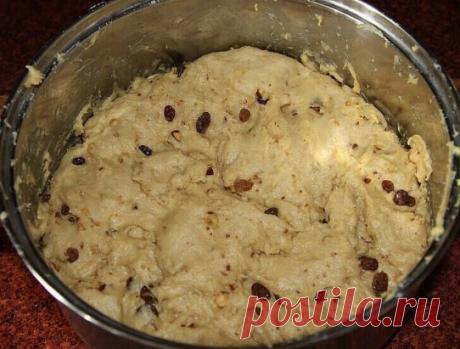 Александрийское тесто (для куличей)
Продукты:
1 л. топленого молока;
1 кг. сахара;
500 гр. слив. масла;
10 яиц;
3 желтка;
150 гр. свежих дрожжей.
Яйца слегка взбить, масло порезать кусочками, смешать все продукты с теплым молоком и оставить в теплом месте на 8-12 часов (смело оставляйте на ночь). Затем всыпать: 1 ч.л. соли; 200 гр. запаренного изюма; 2-3 пакетика ванильного сахара, 2 ст.л. коньяка; примерно 2,5 кг муки. Вымешивать мягкое, вязкое тесто, макая руки в подсолнечное масло.