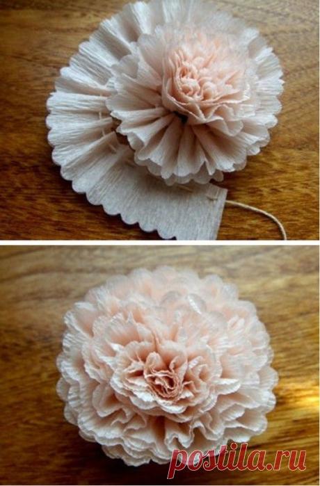 Crepe paper flower