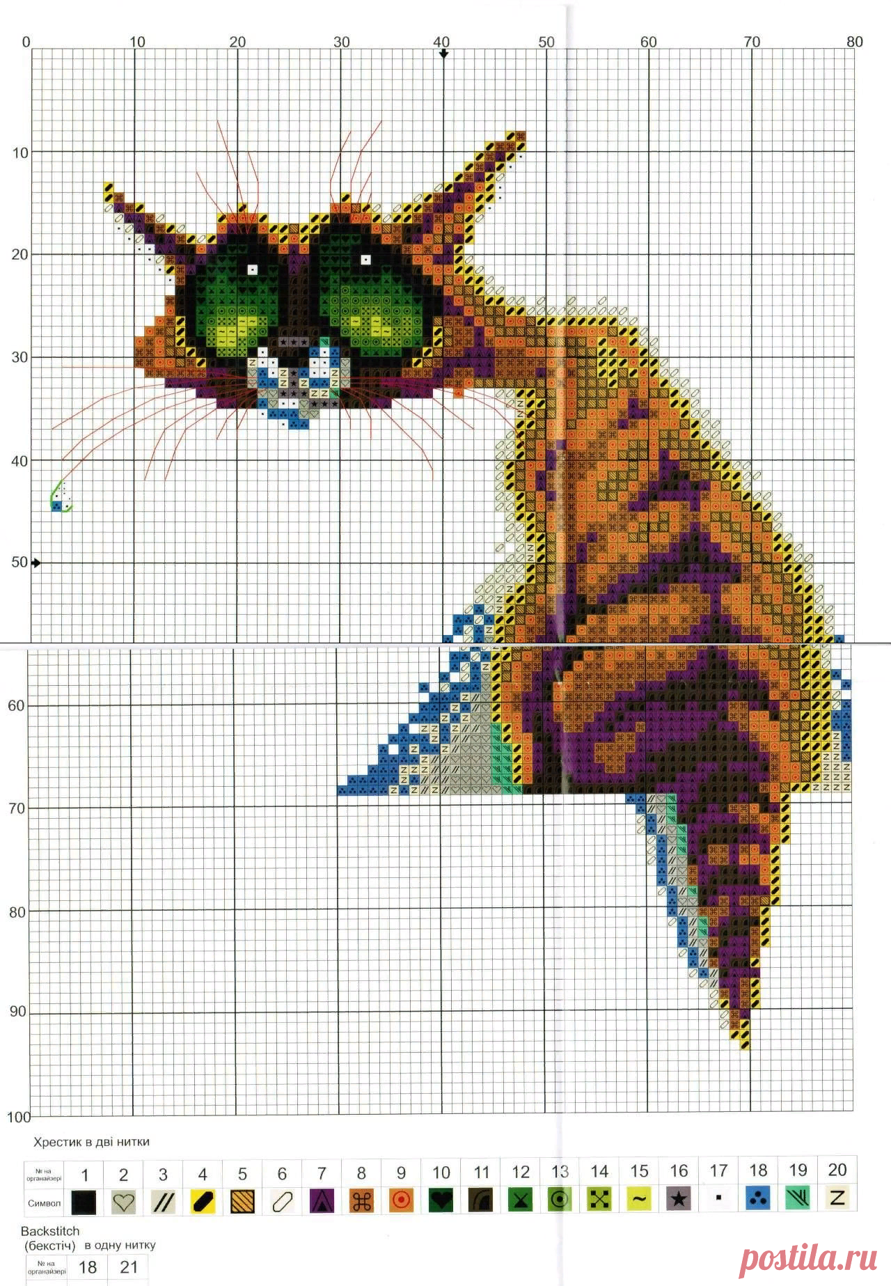 прикольный кот