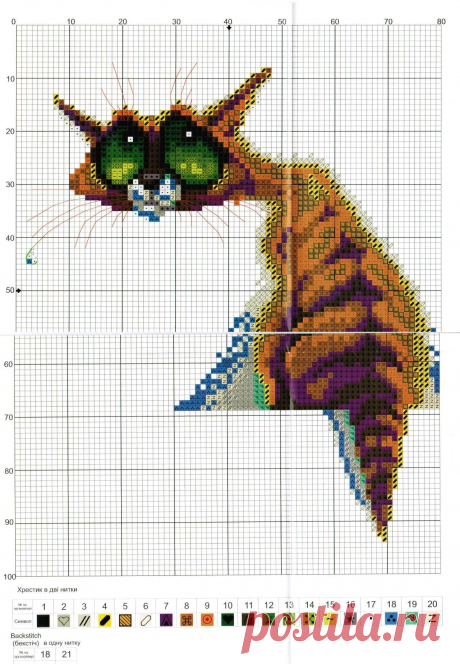 прикольный кот