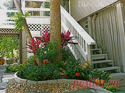 Приствольные круги деревьев - как обустроить цветник под деревом