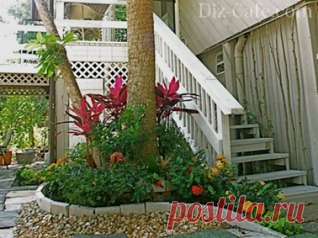 Приствольные круги деревьев - как обустроить цветник под деревом