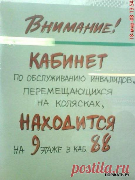 приколы!!