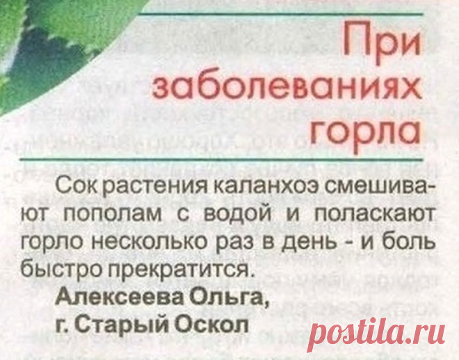 При заболеваниях горла