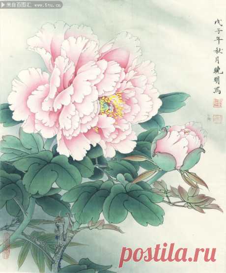 牡丹花工笔画高清_牡丹花工笔画高清画法