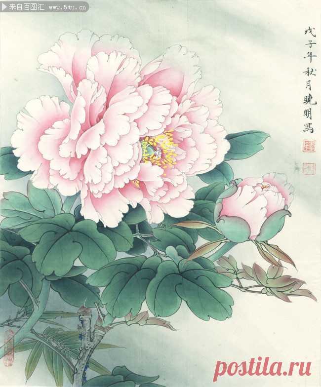 牡丹花工笔画高清_牡丹花工笔画高清画法