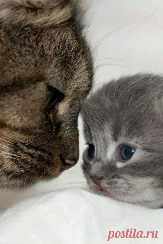 хх