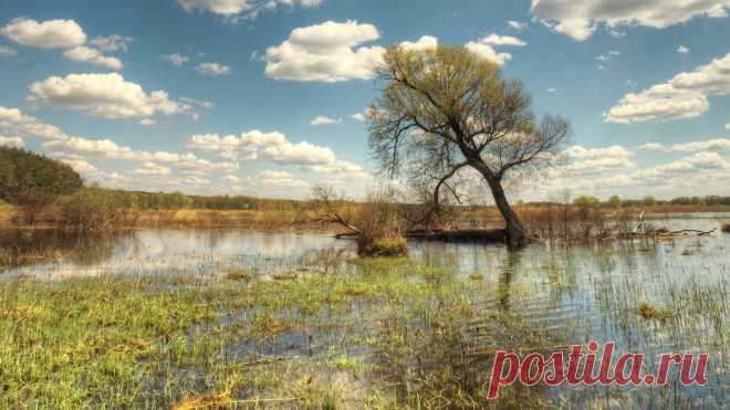 Разливы р. Северский Донец