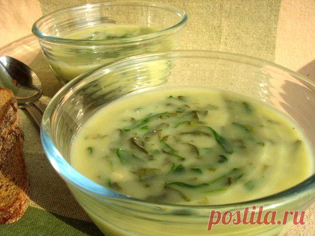 Суп из шпината