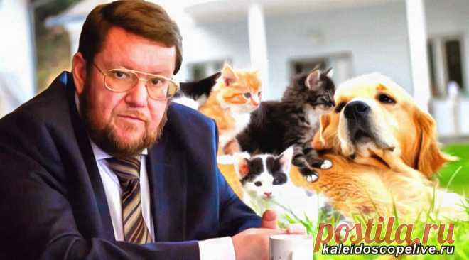 Сатановский: Домашние питомцы, особенно коты и собаки, малыши: дети и внуки - это якорь, который удерживает нас в этой жизни | Калейдоскоп новостей | Дзен