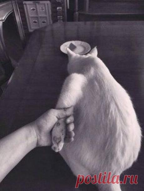 Лучше отпусти!!!