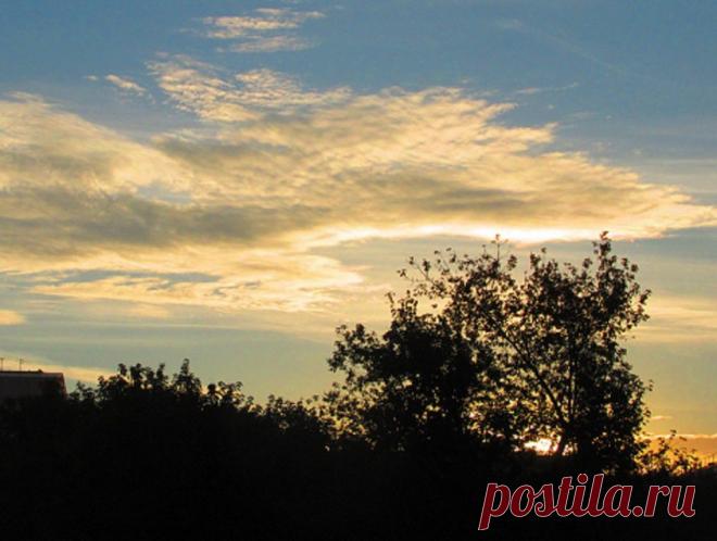 ФОТОМАСТЕРСКАЯ ПРИРОДЫ
леонид бурдаков