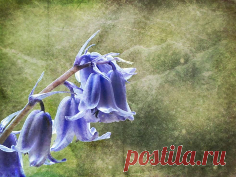 Dominic Moriarty Photography - Fine Art Photography, For Sale | Gallery