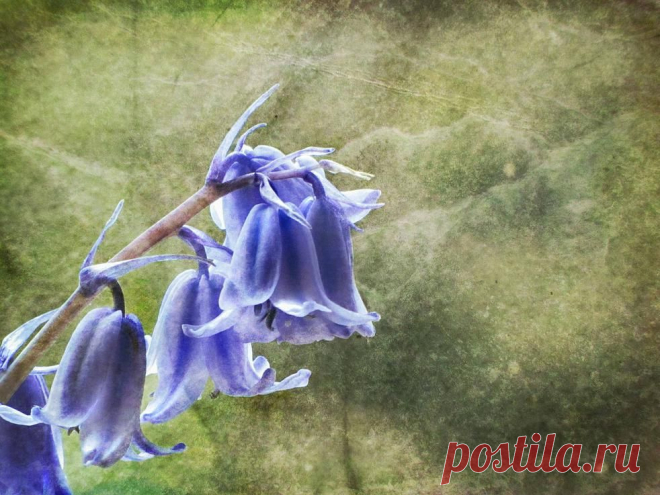 Dominic Moriarty Photography - Fine Art Photography, For Sale | Gallery