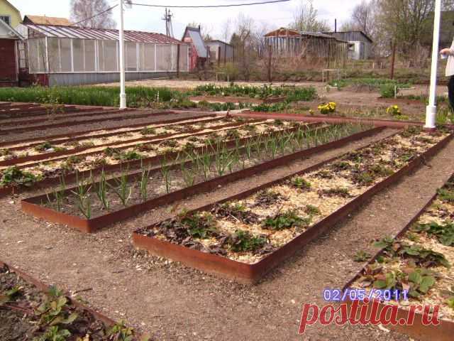 Ограждения для грядок: зачем, из чего и как / Огород / 7dach.ru