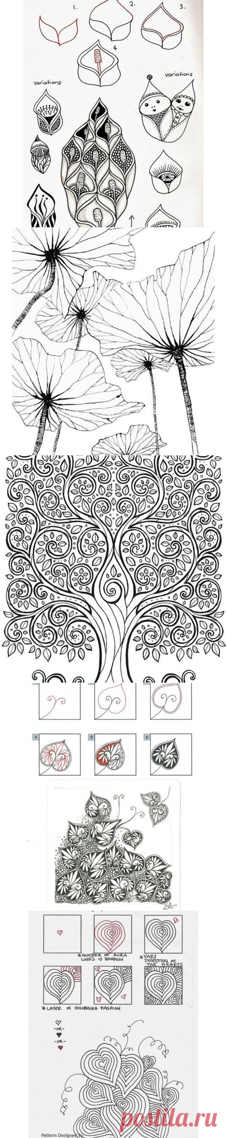 ✍🏻 ЗЕНТАНГЛ, ДУДЛ, СКЕТЧ (@zendoodle_academy) • Фото и видео в Instagram