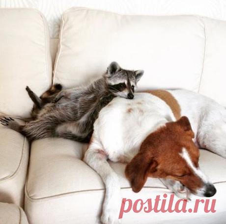 Google+