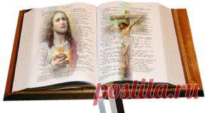 СООРУЖЕНИЕ ПРИПОДНЯТОГО ЦВЕТНИКА