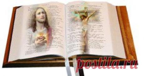 СООРУЖЕНИЕ ПРИПОДНЯТОГО ЦВЕТНИКА