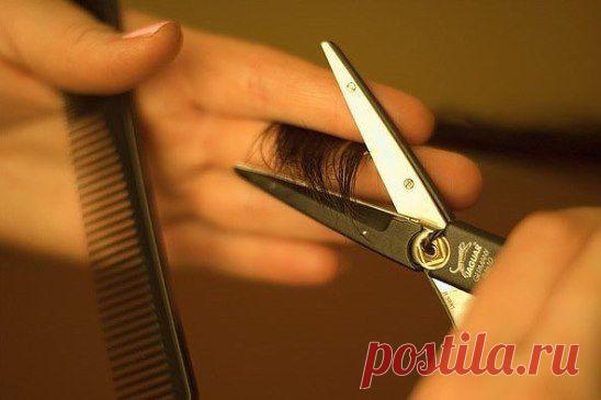 Один человек пришёл в парикмахерскую. Во время стрижки и бритья заговорили с парикмахером о Боге.