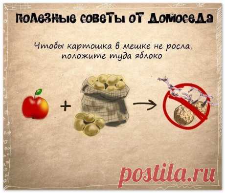 полезные советы от домоседа