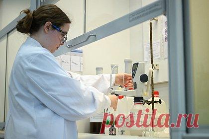 Сигнал SOS подал один из сегментов немецкой экономики