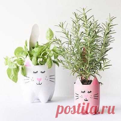 Очаровательные котики-горшки из пластиковых бутылок