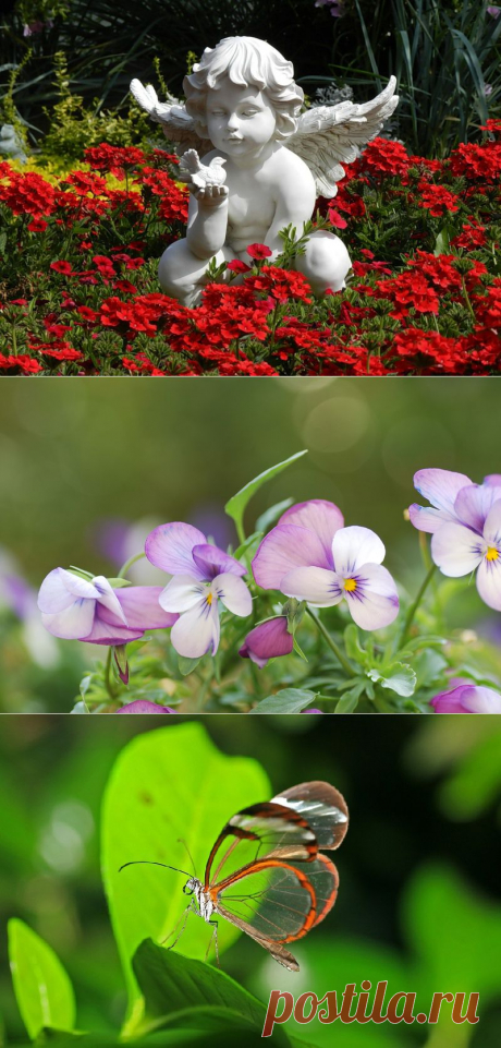 Всё будет хорошо !.