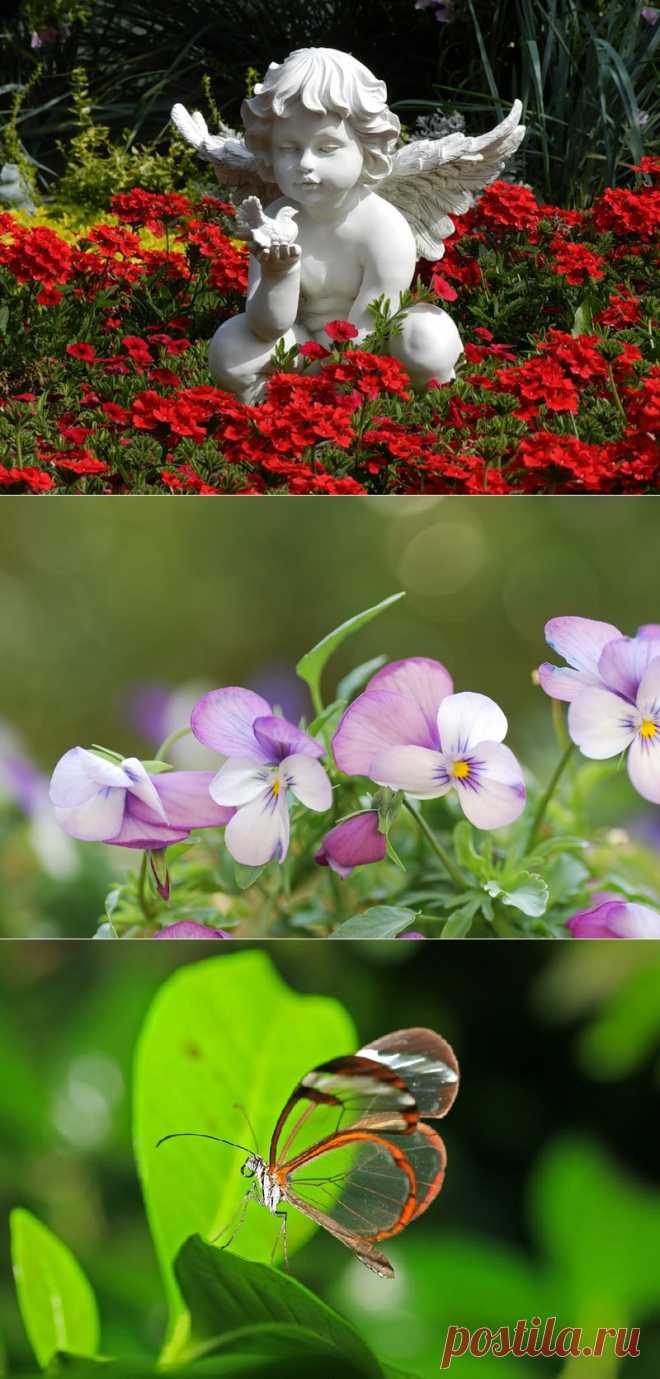 Всё будет хорошо !.