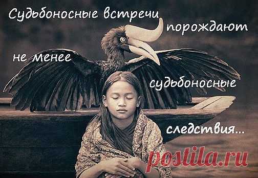 Судьбоносные встречи порождают не менее судьбоносные следствия…
Харуки Мураками. 1Q84