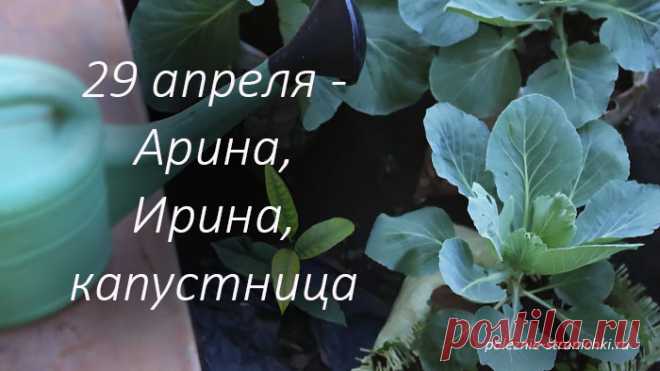 Приметы и запреты на 29 апреля в день Ирины, Арины, капустницы, рассадницы. Что надо сделать 29 апреля, а что делать не стоит 29 апреля