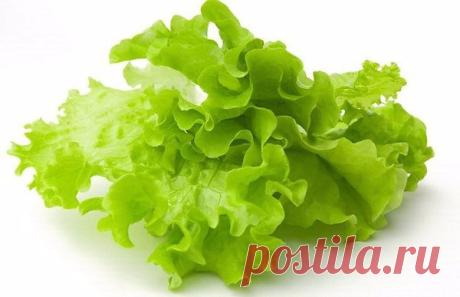 Продукты, снижающие уровень сахара в крови