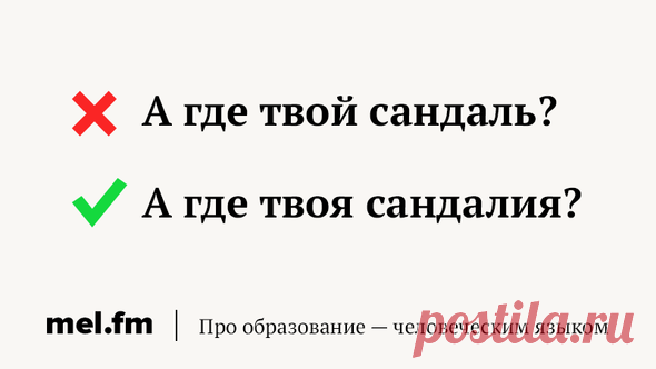 11 слов, в которых слишком часто путают мужской и женский род (средний тоже) | Мел
