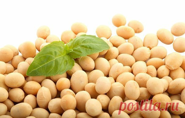 ГДЕ ИСКАТЬ БЕЛОК КРОМЕ МЯСА???