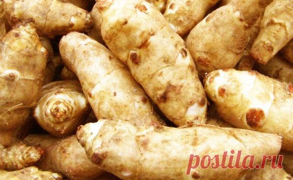 Чем полезен Топинамбур | Дары природы | Яндекс Дзен