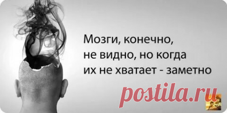 если у вас есть интеллект, постарайтесь им воспользоваться: 892 изображения найдено в Яндекс Картинках