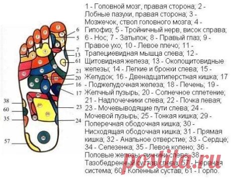 КАК УКРЕПИТЬ ЗДОРОВЬЕ С ПОМОЩЬЮ МАССАЖА СТОП
Массаж стоп оказывает стимулирующее воздействие не только на мышцы ног. Он благотворен для всего организма в целом. Стопа - это область, богатейшая нервными рецепторами и являющаяся «энергетическим окном» организма. В традиционной восточной медицине считают, что через стопу можно получить доступ к любой части тела.