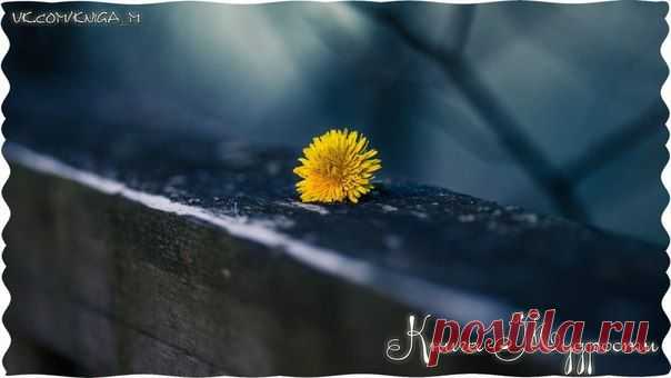 Не удерживай то, что уходит, и не отталкивай то, что приходит. И тогда счастье само найдет тебя. 

© Омар Хайям