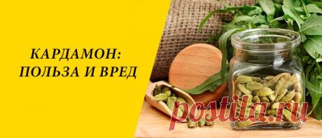 Кардамон: польза и вред для здоровья организма Кардамон: история продукта, виды «королевы специй», Химический состав продукта, применение в кулинарии, польза и вред для здоровья организма.