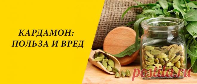 Кардамон: польза и вред для здоровья организма Кардамон: история продукта, виды «королевы специй», Химический состав продукта, применение в кулинарии, польза и вред для здоровья организма.