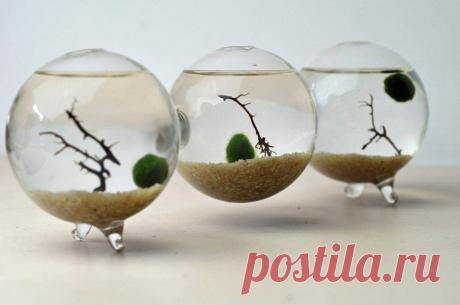 Миниатюрный аквариум как элемент декора