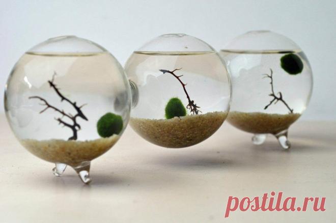 Миниатюрный аквариум как элемент декора