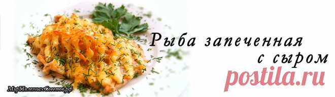 Рыба, запеченная с сыром - простое, полезное и вкусное блюдо.