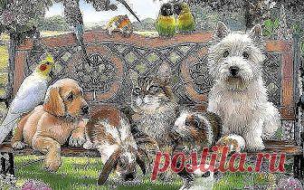 ДОМАШНЯЯ ЗООГОСТИНИЦА. ПЕРЕДЕРЖКА. 89878283629
https://m.ok.ru/profile/171854347102
Домашняя зоогостиница приглашает на проживание котов и кошек, собак (мелких пород), а также мелких домашних животных: попугаи, черепахи, грызуны, хомяки и т.д. на период временного отсутствия владельца. На время вашего отсутствия у животных будет: хорошее питание, чистые лотки, игровая и развлекательная деятельность, уютная семейная отмосфера, фото отчёты для любимых хозяев. Ограничений по ...