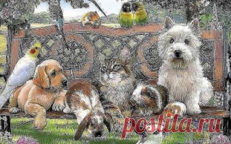 ДОМАШНЯЯ ЗООГОСТИНИЦА. ПЕРЕДЕРЖКА. 89878283629
https://m.ok.ru/profile/171854347102
Домашняя зоогостиница приглашает на проживание котов и кошек, собак (мелких пород), а также мелких домашних животных: попугаи, черепахи, грызуны, хомяки и т.д. на период временного отсутствия владельца. На время вашего отсутствия у животных будет: хорошее питание, чистые лотки, игровая и развлекательная деятельность, уютная семейная отмосфера, фото отчёты для любимых хозяев. Ограничений по ...